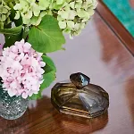 Magnolia *