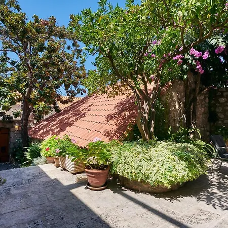 Magnolia Tatil Evi