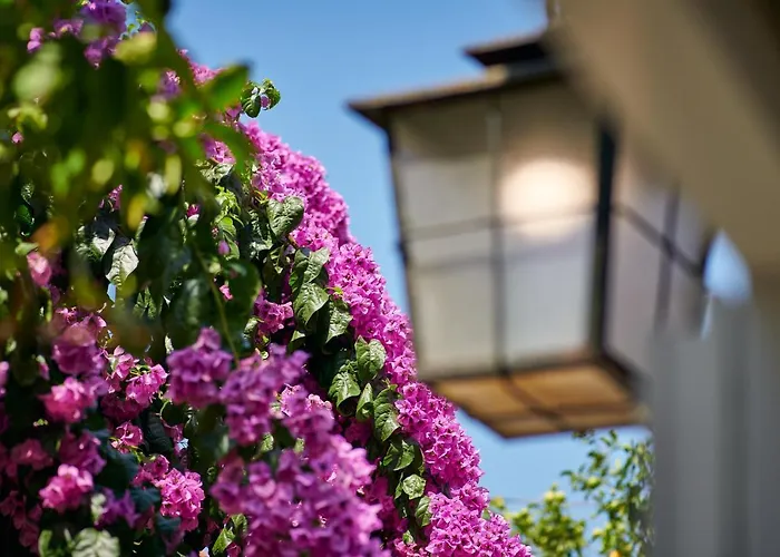 Magnolia בית נופש *