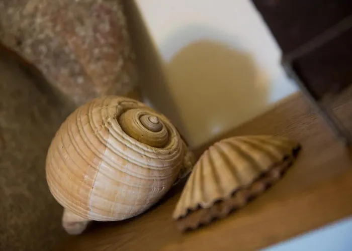 Magnolia Holiday home *