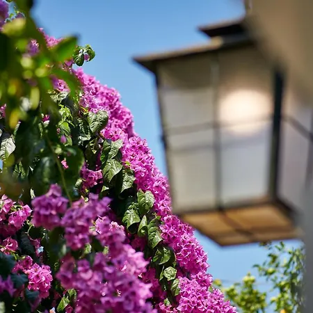 Magnolia Casa vacanze *