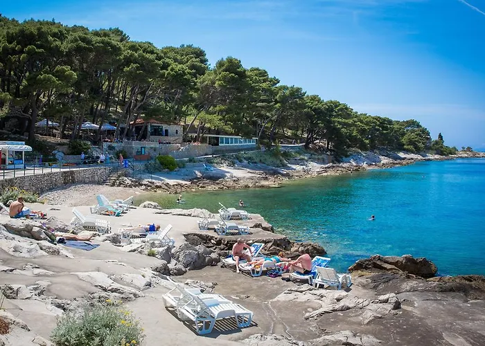 Magnolia * Цавтат